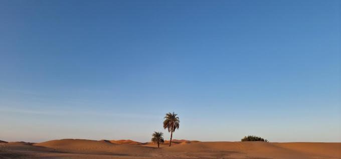Kasbah Hotel Panorama Merzouga Eksteriør billede